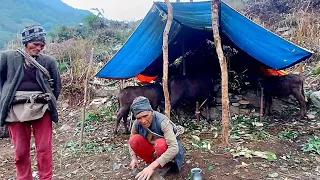 most peaceful traditional shepherd lifestyle || This is Himalayan shepherd village life completion