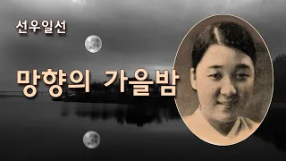 선우일선- 망향의 가을밤/(영상출연 가수 박채영)스타365