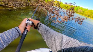 FLIPPING a Jig in Flooded BUSHES!!