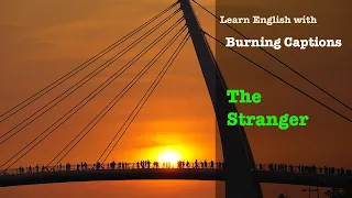 A Brief Summary of The Stranger by Albert Camus | English Learning with Burning Captions