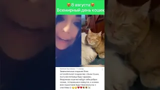 Всемирный день кошек! Будем гладить всех мурчащих 😻 #коты #кошки