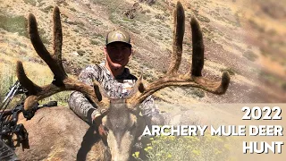 2022 NV ARCHERY MULE DEER HUNT (50" of mass!)