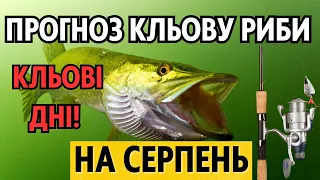 Календар рибалки на СЕРПЕНЬ. Прогноз клювання риби. Місячний Календар рибалки 2023 для України