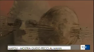 TGR CAMPANIA 07.04.2018/ Mostra Guido Pecci al MANN