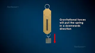 Physics - Grade 8 & 9 IG - Week 11 - Spring Scale (Hooke's Law)