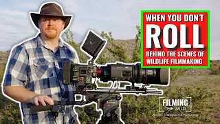 When You Don't Roll | Behind The Scenes of Wildlife Filmmaking