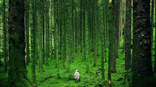 Beautiful Surahs  Al Fatiha and Al Baqarah Juz 1 Recited By SH. ABDIRASHID ALI SUFI