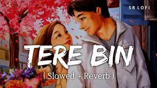 Tere Bin (Slowed + Reverb) | Simmba | Asees Kaur, Rahat Fateh Ali Khan | SR Lofi