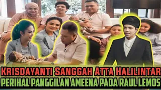 Keseruan Ameena Digendong Avo Raul Lemos Pertama Kalinya || Netizen Ikut Bahagia