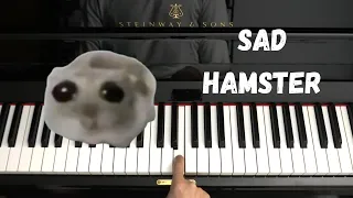 Sad Hamster Meme - Sad Piano Version