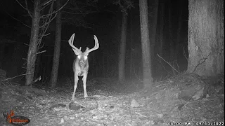 Western Massachusetts Monster Buck Possible State Record!