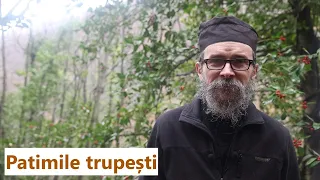 Patimile trupești - părintele Teologos