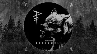 Paleowolf: Age of the Wolf (compilation) | Dark prehistoric tribal ambient