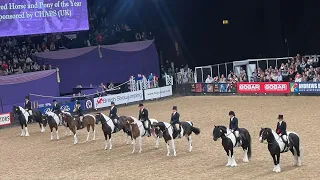 HOYS 2023 The Coloured Horse & Pony Championship