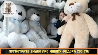 Большой плюшевый медведь во Владивостоке. Мишка Федор 200 см - от магазина подарков - Мишки ДВ