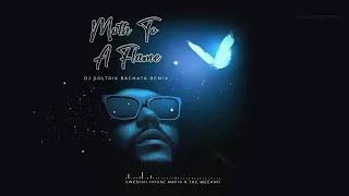 Swedish House Mafia & The Weeknd - Moth To A Flame (DJ Soltrix's Future Bachata Remix)