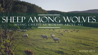 Sheep Among Wolves: Seeing Christ as Worthy Above All