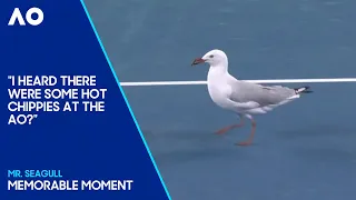 Seagull Hilariously Stops Play During Tense Game! | Australian Open 2024