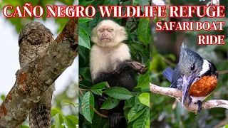 Caño Negro Wildlife Refuge by Boat at Los Chiles (Day Trip from La Fortuna)