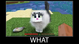 Minecraft wait what meme part 143 realistic minecraft cat wool