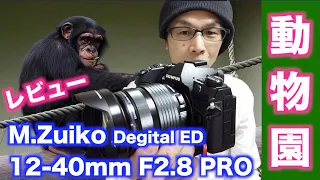 【M.ZUIKO.DIGITAL ED 12-40mm F2.8 PROレビュー】動物園でも使える！【画角と解像感】