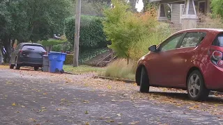 Multiple cars keyed during night of vandalism in Vancouver neighborhood