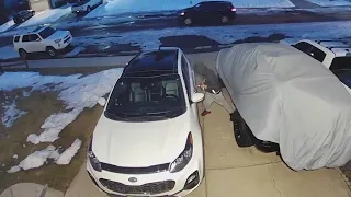 Thief caught on camera stealing Kia