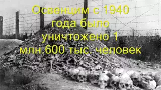 "Концлагеря Второй Мировой войны 1939-1945гг" (видео создано учениками школы в 2009г)