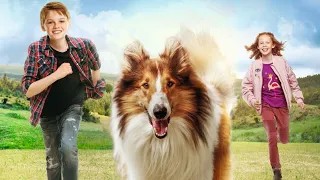 Lassie