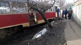 Трамвай снёс дерево - ТрамвайныйДрифт на Салтовке продолжаеться.