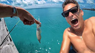What I've found on Maldives. Catching a Lobster and Fish Right Under the Water Villa.