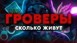 ГРОВЕРЫ. Сколько живут и как скрываются от полиции и спортиков Работа из Даркнета. Мориарти