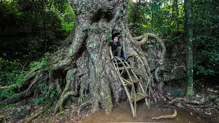 Emergency Shelter Under a Large Tree - Make a Bed Inside the Tree/ An vs Wild, Part 1