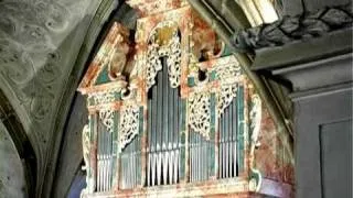 XAVER VARNUS PLAYS THE OLDEST ORGAN OF CENTRAL-EUROPE (1633)