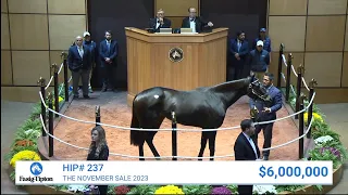 Goodnight Olive sells for $6,000,000 at The November Sale (2023)