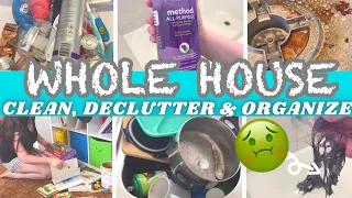 WHOLE HOUSE CLEAN WITH ME | CLEAN, DECLUTTER AND ORGANIZE | EXTREME CLEANING MOTIVATION 2021