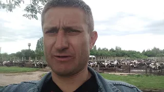 19 червня 2020р. В цей чудовий день в Україні – День фермера святкують. 🇺🇦
