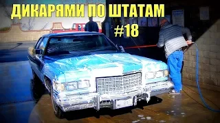 ИЗ ГРЯЗИ В КНЯЗИ | ДИКАРЯМИ по ШТАТАМ #18 [4K]