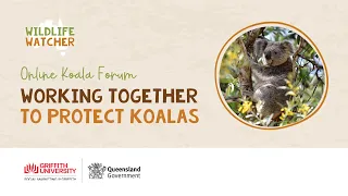 Online Koala Forum