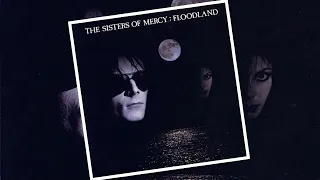 Sisters of Mercy - This Corrosion [single version]