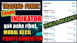 cara trading forex modal kecil profit konsisten akurasi tinggi - pemula merapat