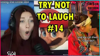 TRY NOT TO LAUGH CHALLENGE #14 (TikTok Edition) | Kruz Reacts