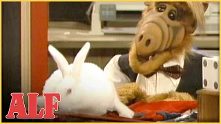 Magic ALF Turns Brian into a Bunny 🥕 | S3 Ep12 Clip