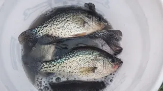 Jigging for Crappie!! My First Catch, Clean, Cook!!