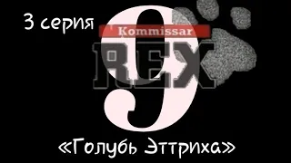 Комиссар Рекс, 9 сезон, 3 серия «Голубь Эттриха»