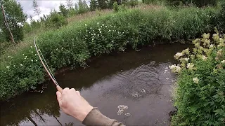 Harjusten perässä Lapin puroilla / Chasing graylings at small creeks in Lapland