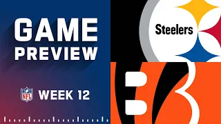 Pittsburgh Steelers vs. Cincinnati Bengals | Week 12 NFL Game Preview