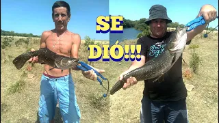 Buscabas TARARIRAS TORNASOLES, este video tienes que ver en Pesca en agua dulce