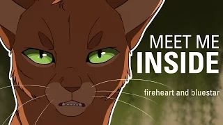 MEET ME INSIDE// Bluestar and Fireheart