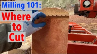 How I Choose Where to Make My Cuts with Woodmizer LT15 Sawmill